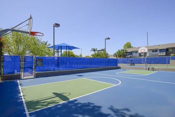 Basketball court